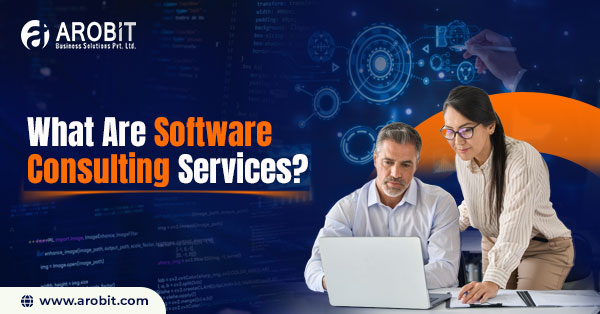 What Are Software Consulting Services?